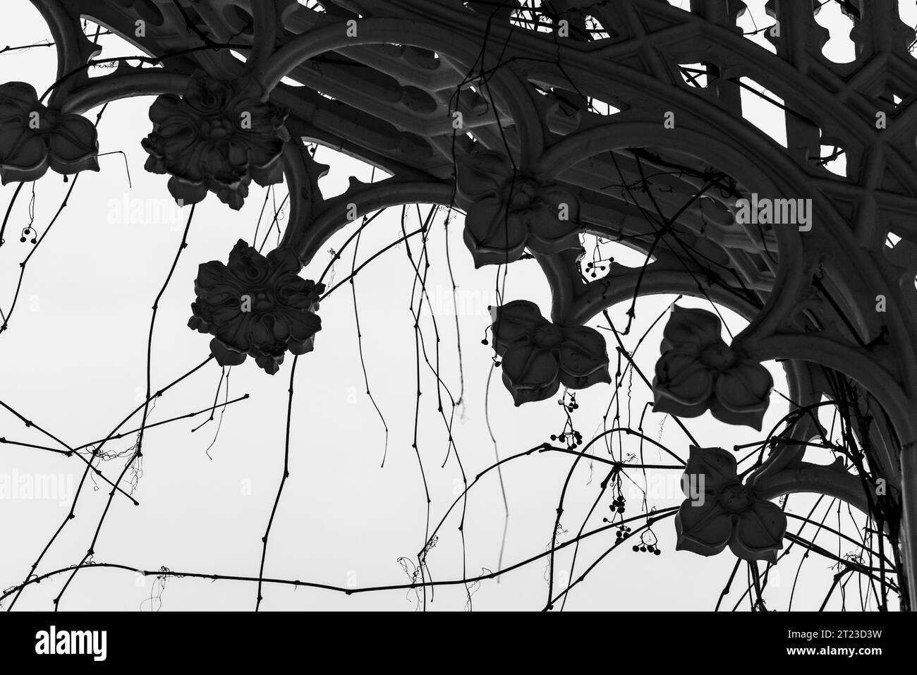 Vintage geschmiedete Eisen Silhouette, Bogendekoration mit trockener Weinrebe darauf, Nahaufnahme. Schwarzweißfoto Stockfoto