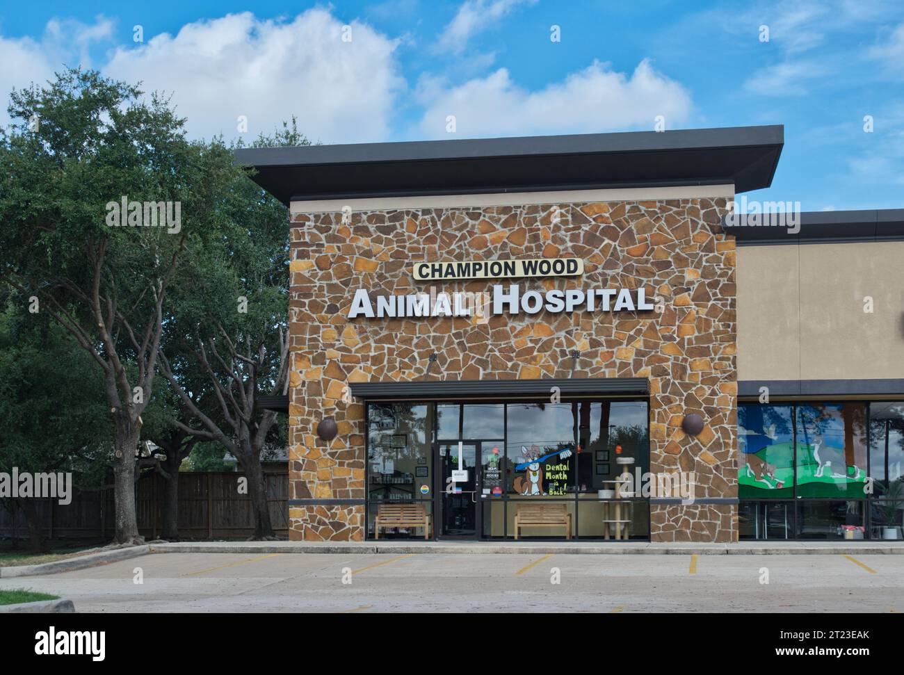 Houston, Texas USA 24. September 2023: Champion Wood Animal Hospital Business Exterieur im Frühjahr, TX. Örtliche Veterinärklinik im Großraum Houston. Stockfoto