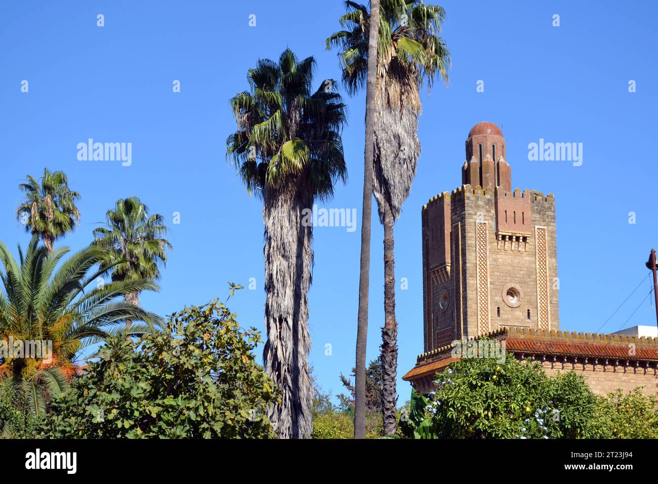 Palmen und ein historisches Turmgebäude in El Ksar El Kebir, einer Stadt in Marokko. Stockfoto