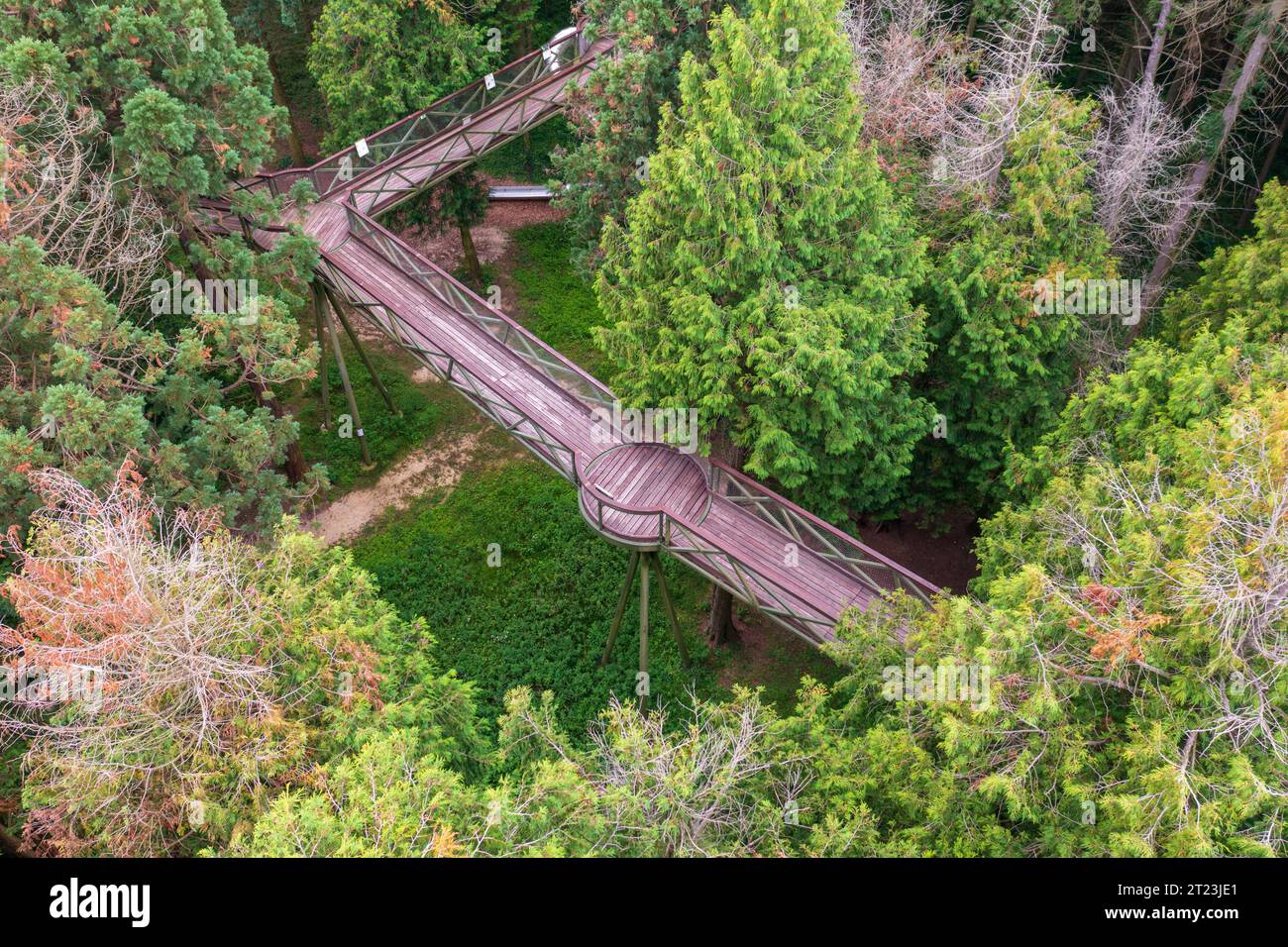 Kam, Ungarn - aus der Vogelperspektive über den Jeli Arboretum Baldachin-Gehweg Stockfoto