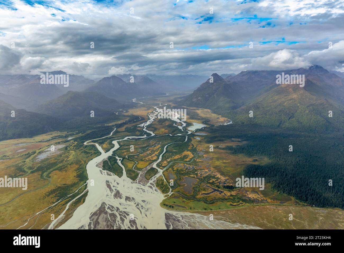 Aus der Vogelperspektive auf den geflochtenen Fluss, der durch herbstgrüne und gelbe Farben eines Wildnistals fließt, Lake Clark National Park. Stockfoto