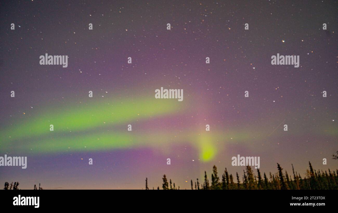 Geformte Aurora mit Sternen in Fairbanks, Alaska Stockfoto
