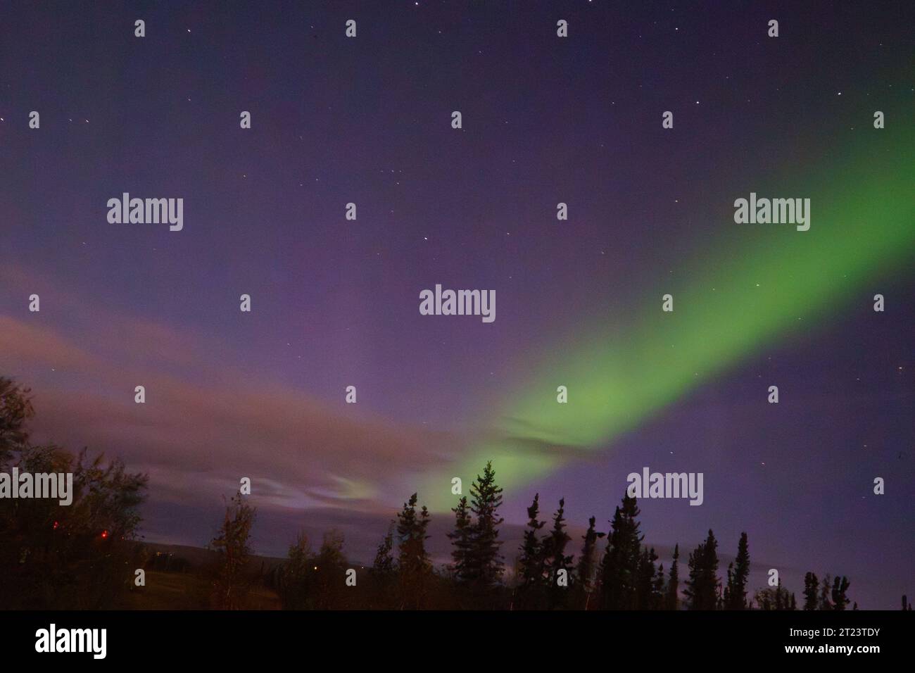 Die Dämmerung und die wunderschöne Aurora in der Ferne mit einem strahlenden Start in Fairbanks, Alaska Stockfoto