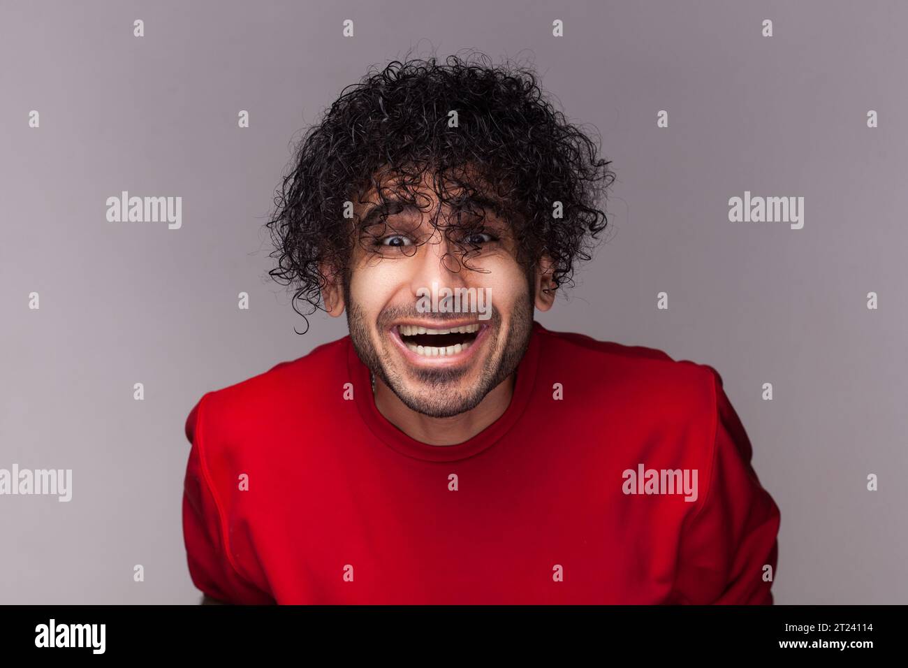 Porträt eines glücklichen, positiven bärtigen Mannes mit lockigen Haaren, der in die Kamera blickt und lacht, seine lustige Frisur sieht, mit rotem Pullover. Innenstudio isoliert auf grauem Hintergrund. Stockfoto
