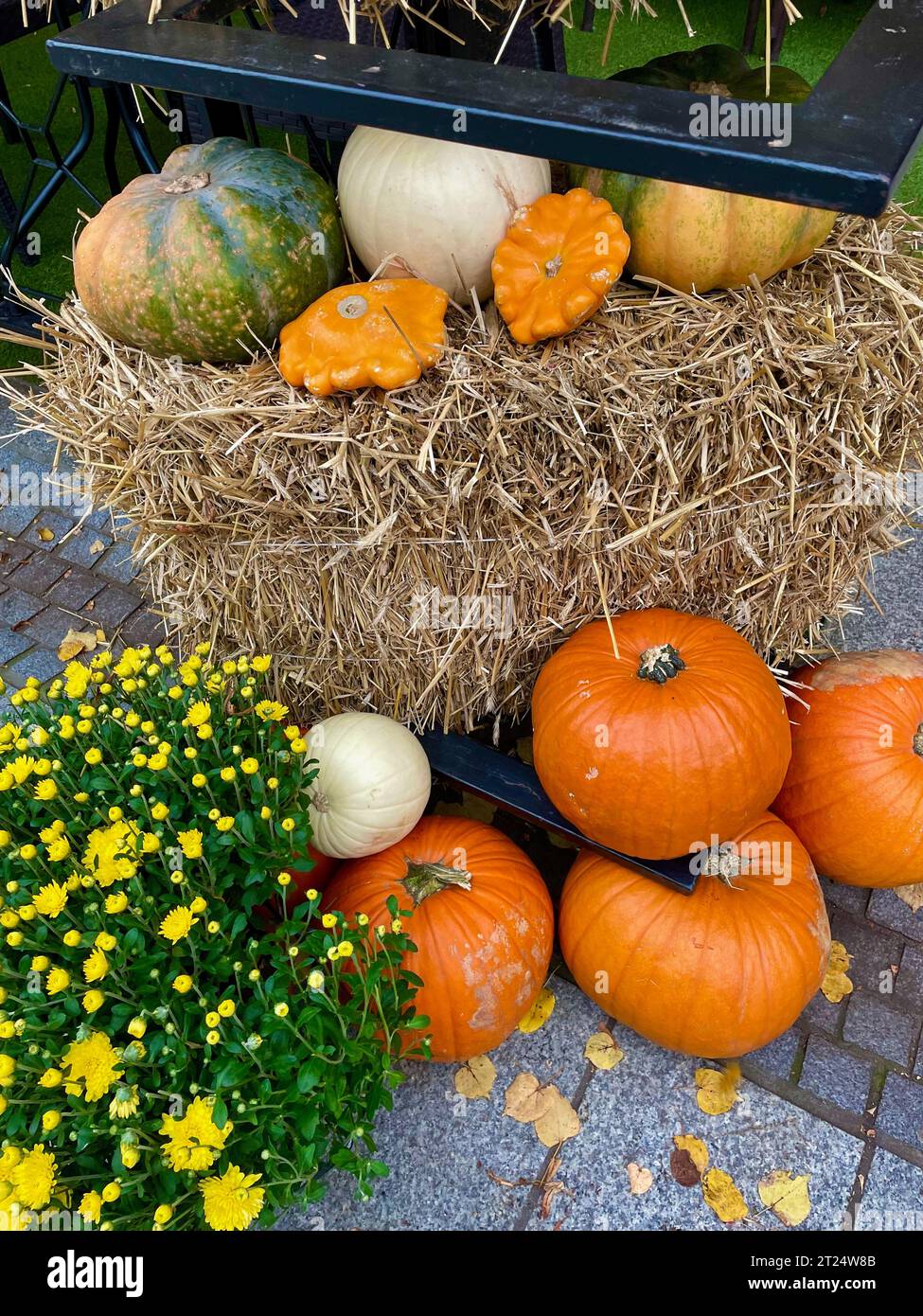 Orangefarbene Kürbisse neben einer Heu-Garbe Stockfoto