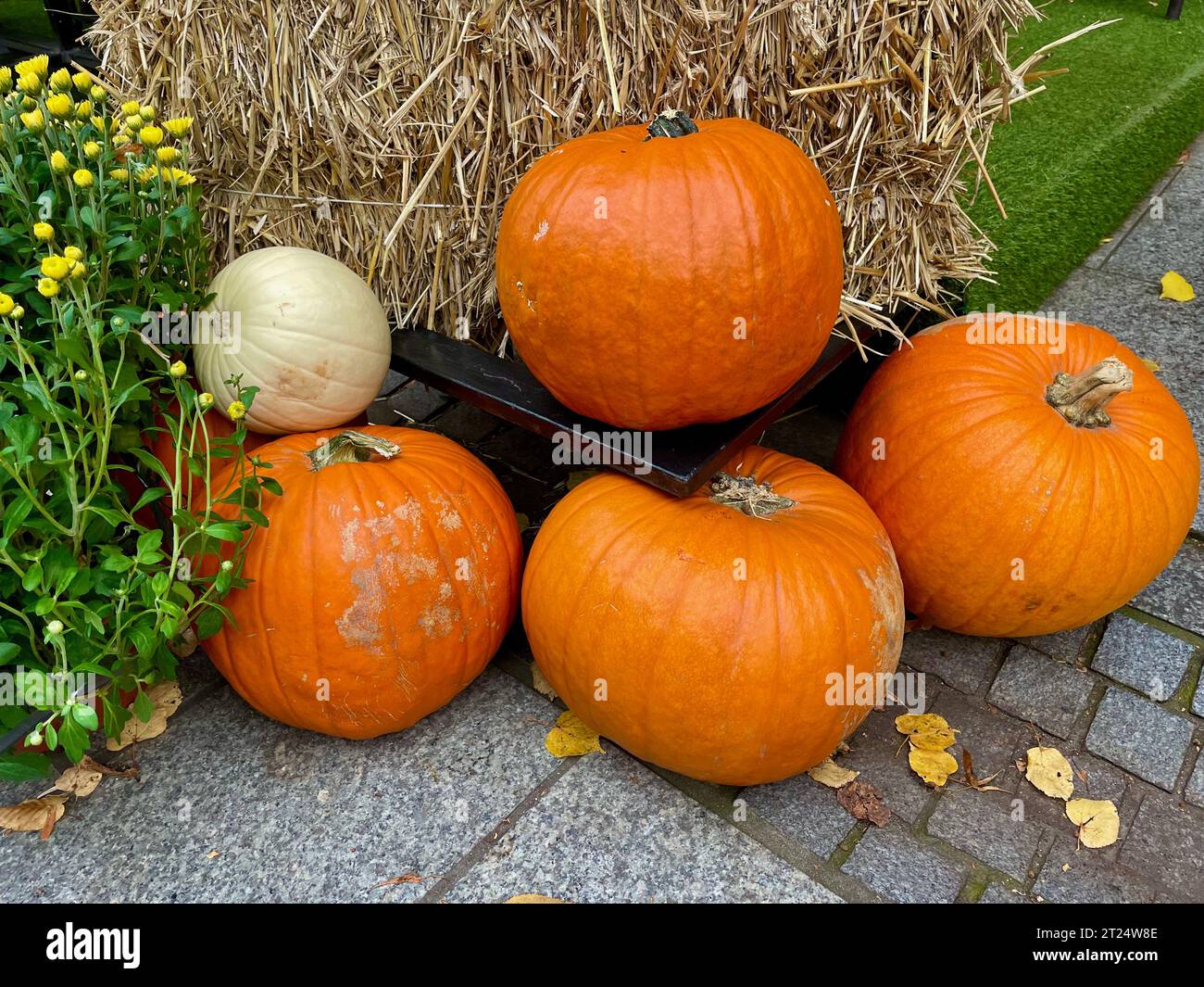 Orangefarbene Kürbisse neben einer Heu-Garbe Stockfoto