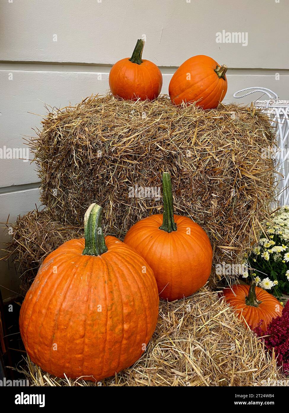 Orangefarbene Kürbisse neben einer Heu-Garbe Stockfoto
