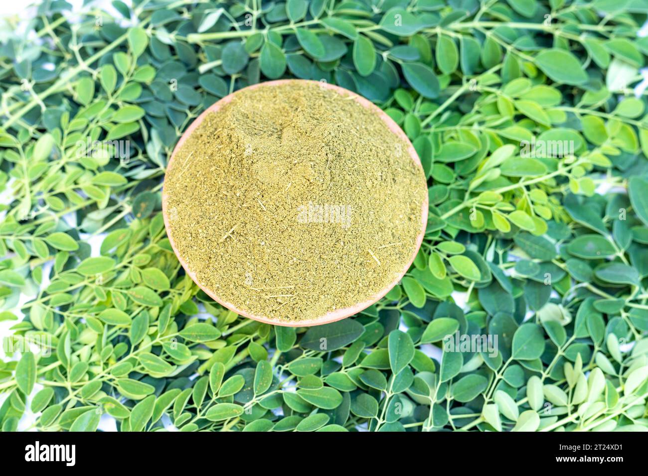 Moringa-Pulver mit frischen Blättern, flache Ansicht Stockfoto