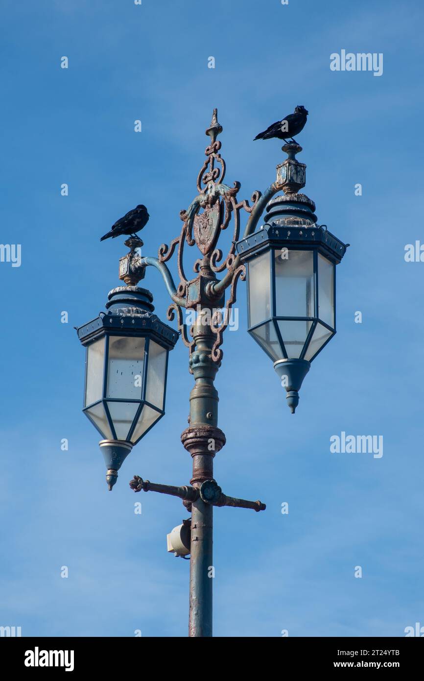 Historische Straßenlaternen in Southsea Portsmouth, Hampshire, England, Großbritannien, mit Vögeln, die sich vor blauem Himmel erheben Stockfoto