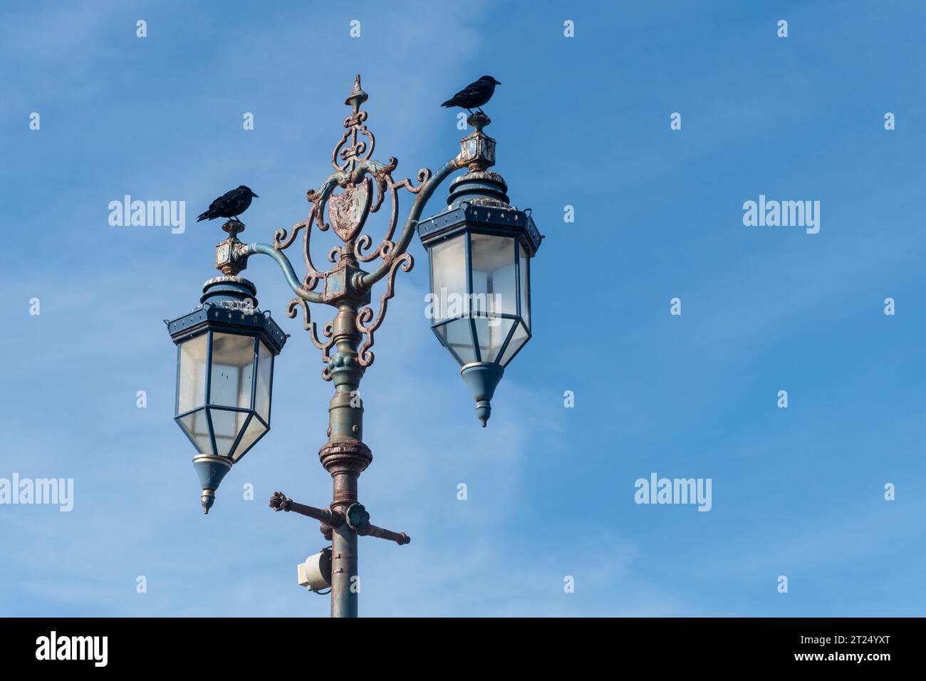 Historische Straßenlaternen in Southsea Portsmouth, Hampshire, England, Großbritannien, mit Vögeln, die sich vor blauem Himmel erheben Stockfoto
