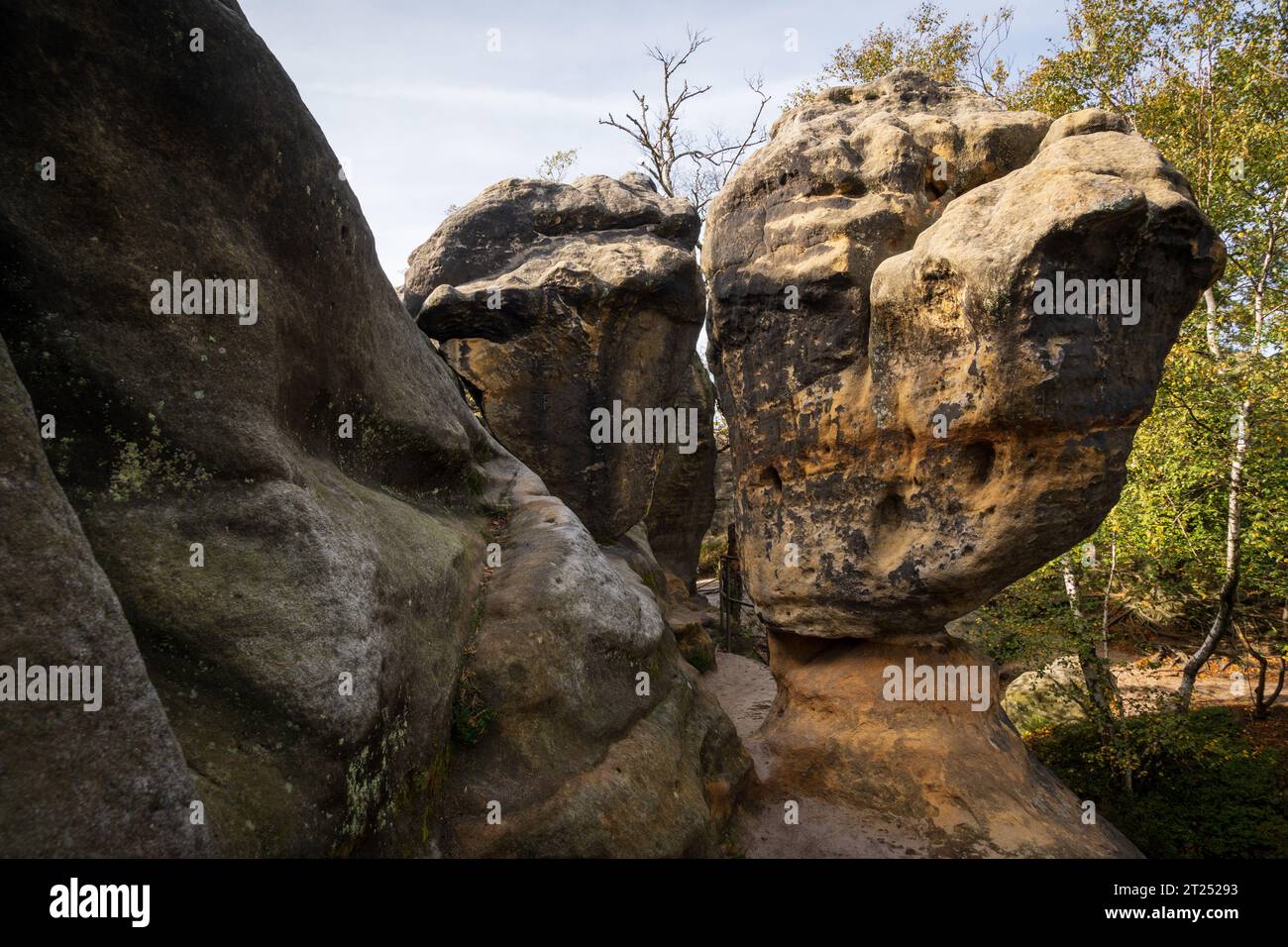 Nationalpark Sächsische Schweiz in Deutschland Stockfoto