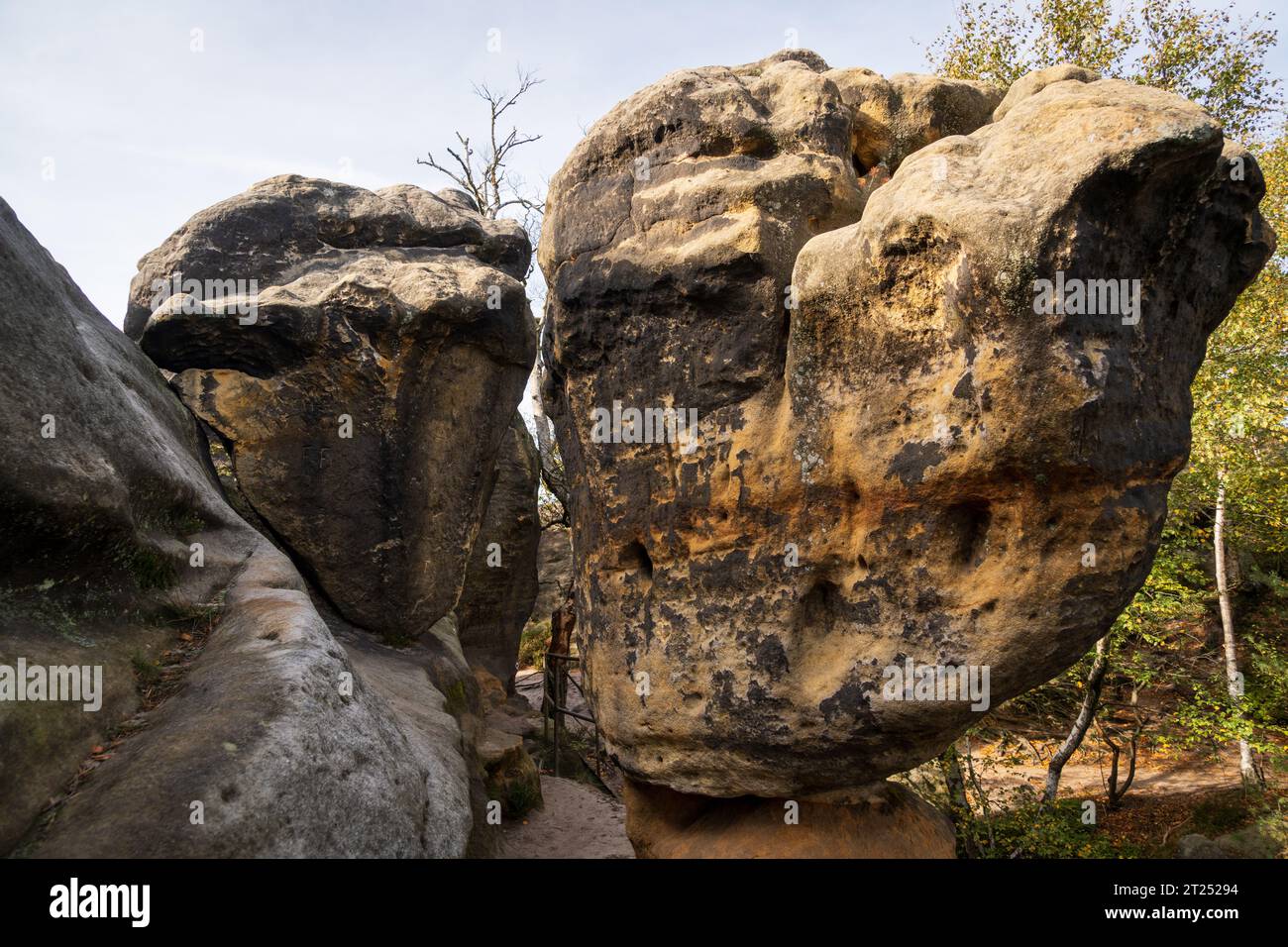 Nationalpark Sächsische Schweiz in Deutschland Stockfoto