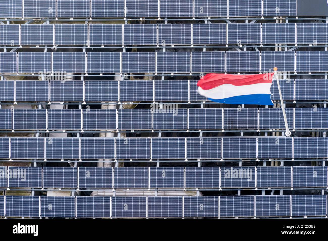 Die niederländische Flagge, die über einer Reihe von Solarpaneelen oder PV-Zellen fliegt. Stockfoto