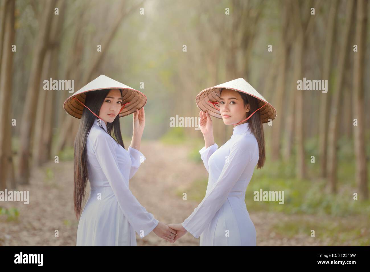 Porträt von zwei asiatischen Frauen in traditioneller Kleidung, die in einem Wald stehen und Hände halten, Vietnam Stockfoto