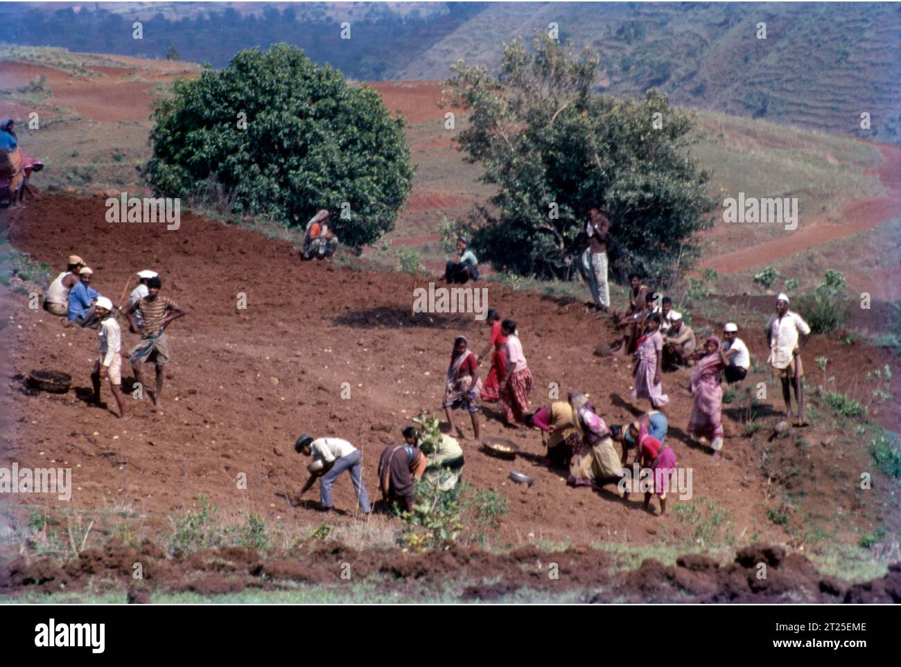 Entwicklung des ländlichen Raums in Arbeit, Maharashtra, Indien. Stockfoto