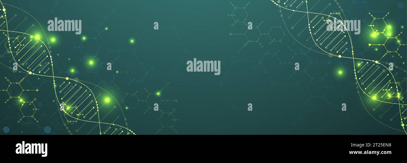 Wissenschaftliche Vorlage, Hintergrundbild oder Banner mit DNA-Molekülen. Vektorabbildung. Stock Vektor
