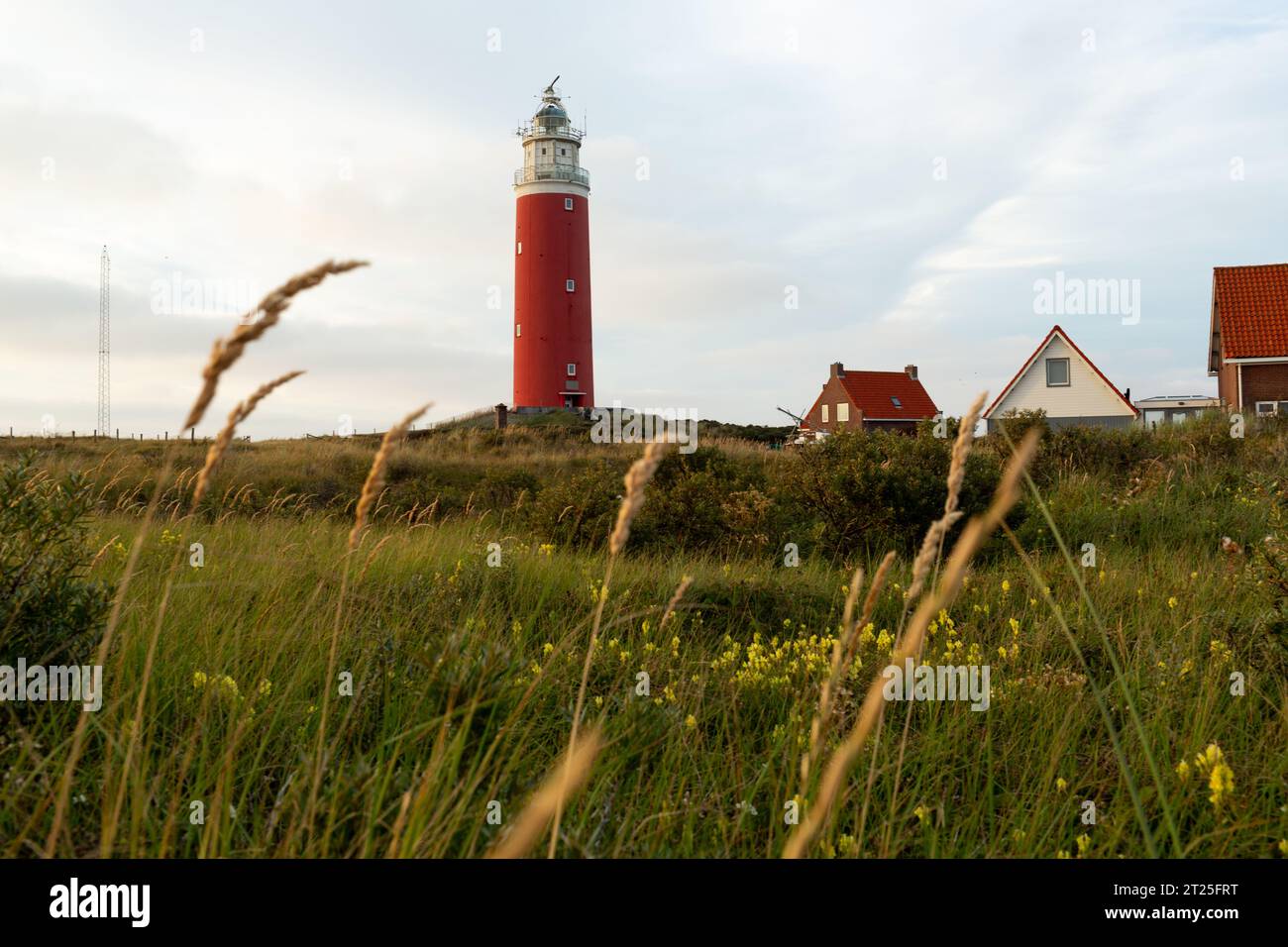 Leuchtturmlandschaft an der ruhigen Küste von Texel. Cocksdorp, Texel Niederlande Stockfoto