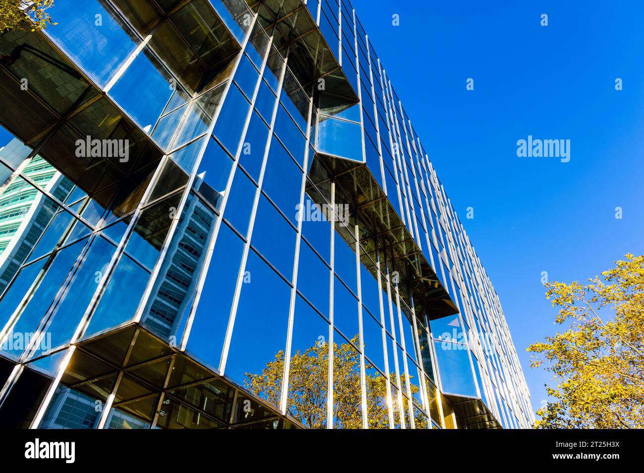 Glasfassade von 1981 250 Euston Road Gebäude, das University College London Hospitals (UCLH), London, England beherbergt Stockfoto