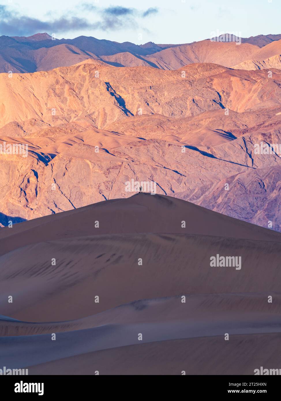 Die einzigartige Landschaft im Death Valley National Park Stockfoto