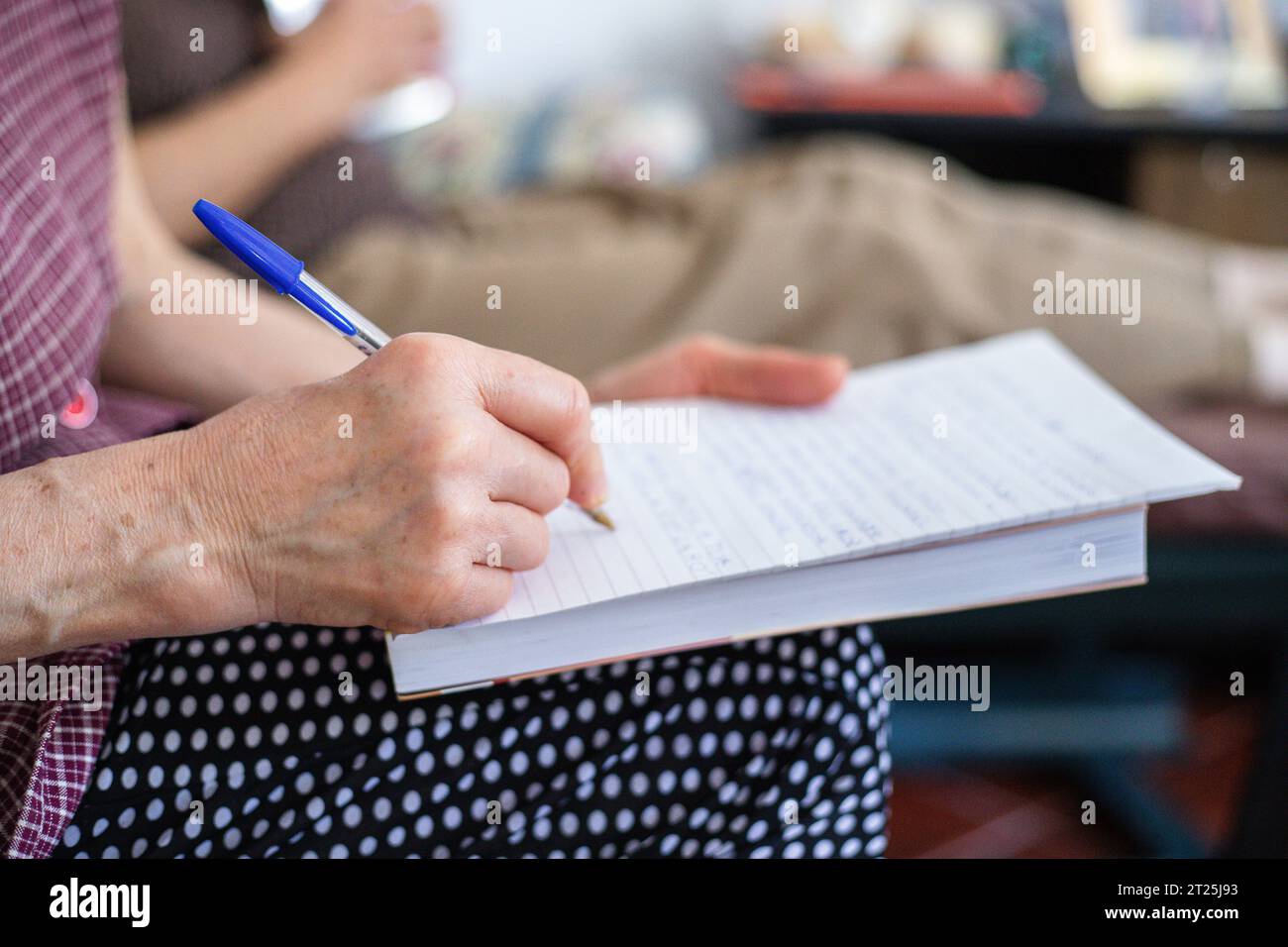 Nahaufnahme einer Person, die auf ein Notizbuch schreibt. Erwachsene Person, die auf einem Sofa sitzt und mit einem Tintenstift und in einem Notizbuch einen Text schreibt. Stockfoto