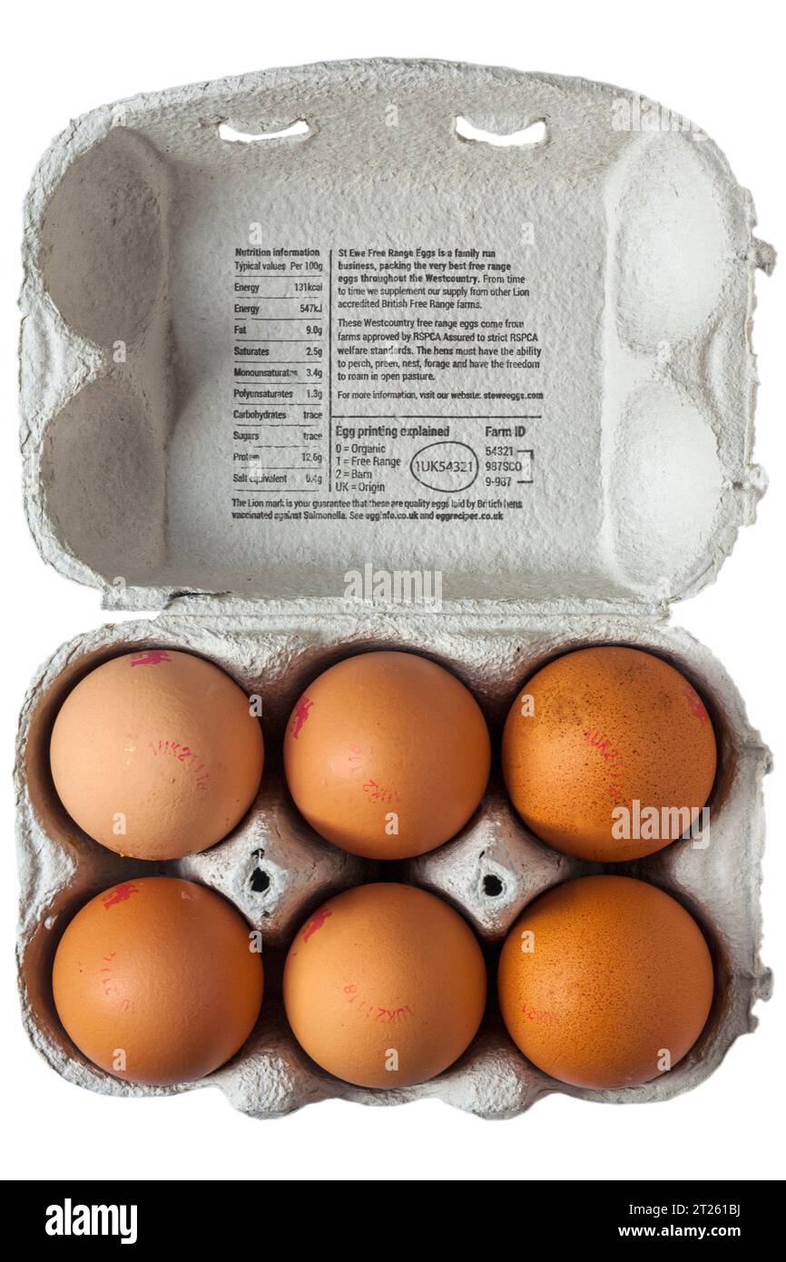 St. Ewe Freilandeier große große Westcountry Freilandeier 6 extra große Eier isoliert auf weißem Hintergrund - Deckel der Eierbox geöffnet Stockfoto