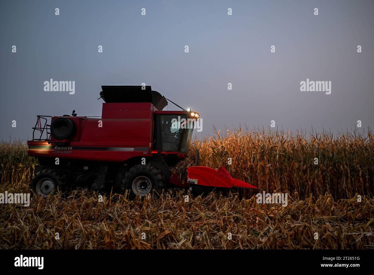 (231017) -- TONGLIAO, 17. Oktober 2023 (Xinhua) -- Eine Erntemaschine arbeitet auf einem Maisfeld in der Stadt Horqin, Tongliao, nordchinesischer Autonomer Region Innere Mongolei, 13. Oktober 2023. Insgesamt 20,3 Millionen mu (etwa 1,35 Millionen Hektar) Getreide in Tongliao City sind in der Erntezeit. In diesem Jahr hat die Maisanbaufläche in Tongliao 18 Millionen mu (rund 1,2 Millionen Hektar) überschritten. (Xinhua/Lian Zhen) Stockfoto