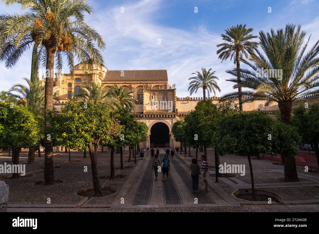 Innenhof der Orangenbäume in der Großen Moschee von Cordoba. Spanien. Stockfoto