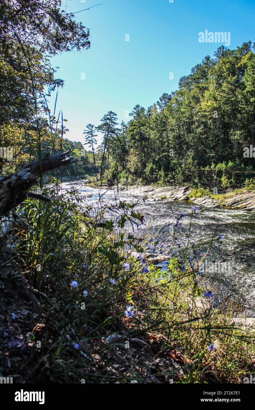 Friends Trail Loop Trailhead Broken Bow, OK Stockfoto