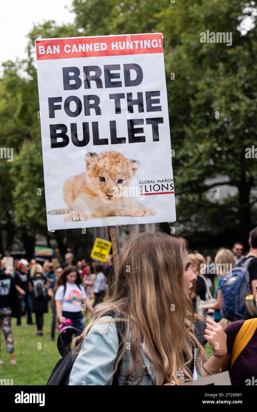 Offizieller Tierrechtsmarsch mit Demonstranten vor den Kammern des Parlaments. Plakette gegen Trophäenjagd Stockfoto