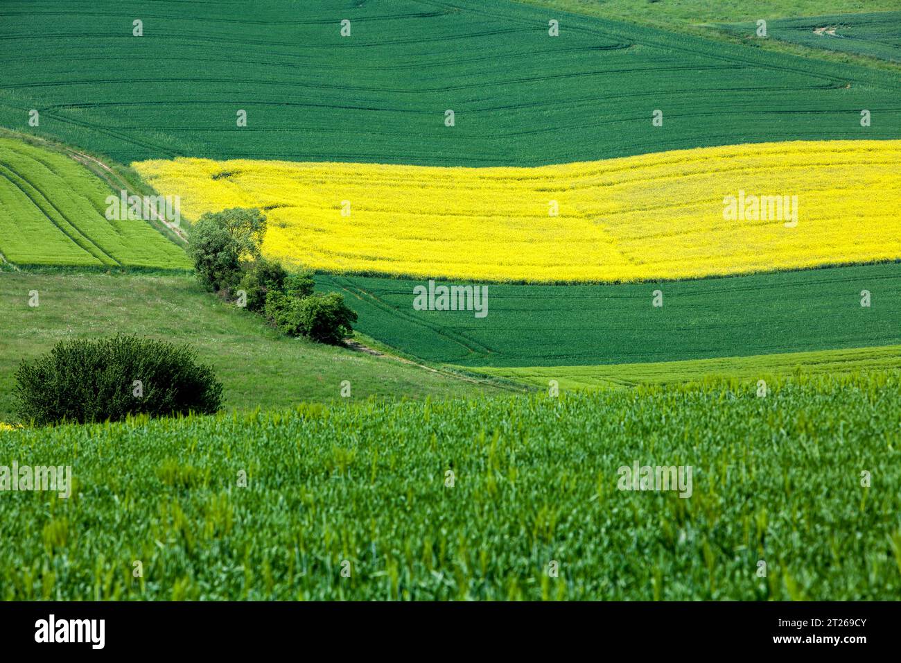 Landschaft bei Uslar, Landkreis Northeim, Weserbergland, Südniedersachsen, Deutschland, Europa Stockfoto