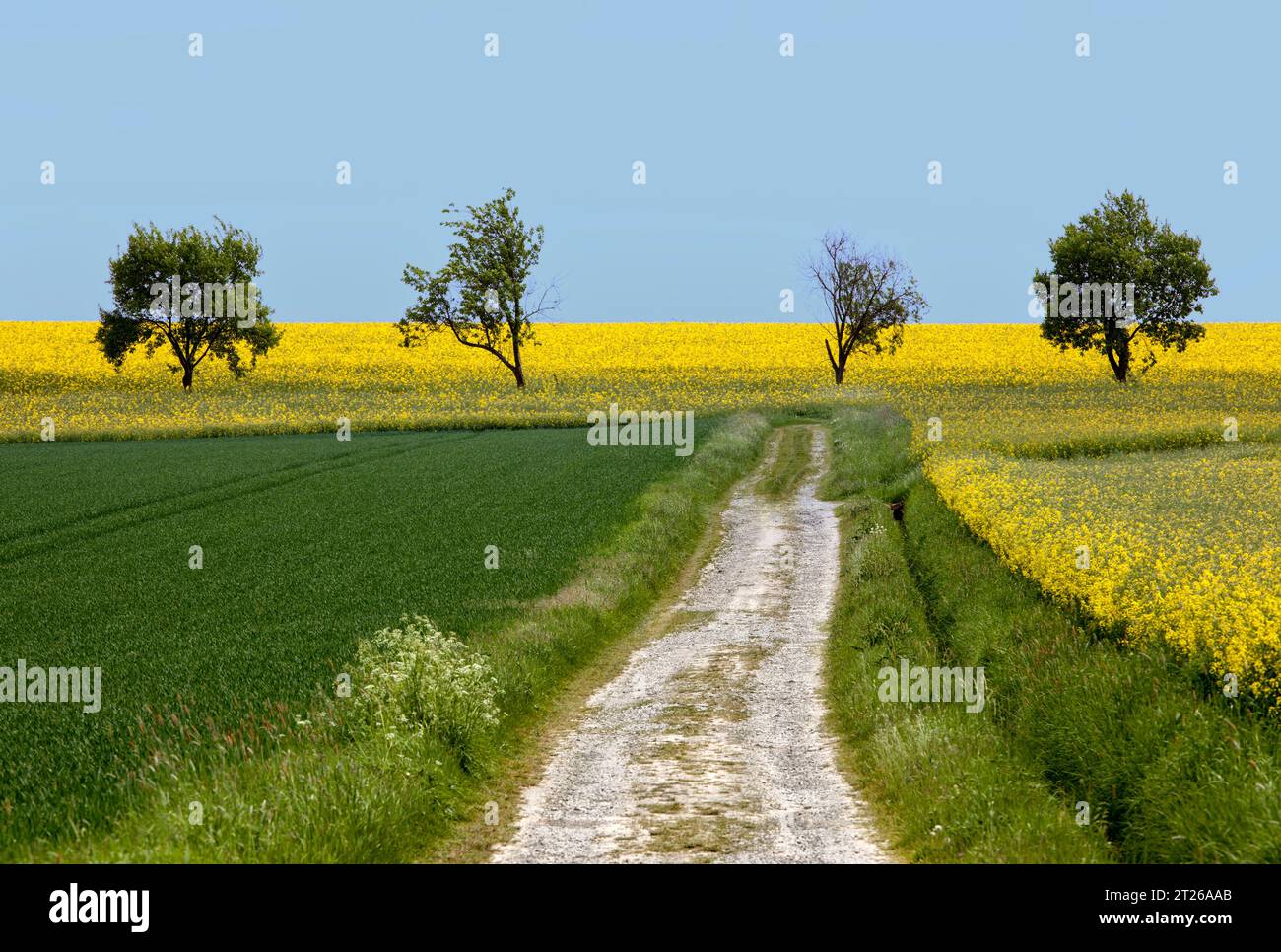 Landschaft mit einem Weg Stockfoto