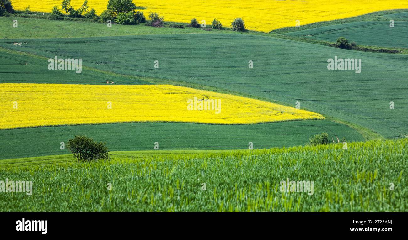 Landschaft bei Uslar, Landkreis Northeim, Weserbergland, Südniedersachsen, Deutschland, Europa Stockfoto