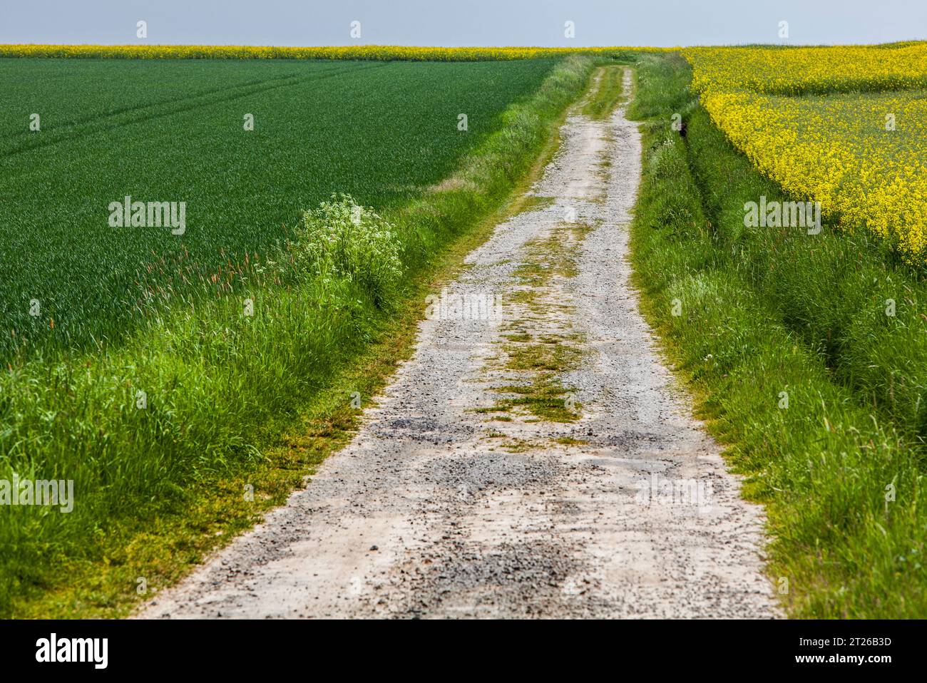 Landschaft mit einem Weg Stockfoto
