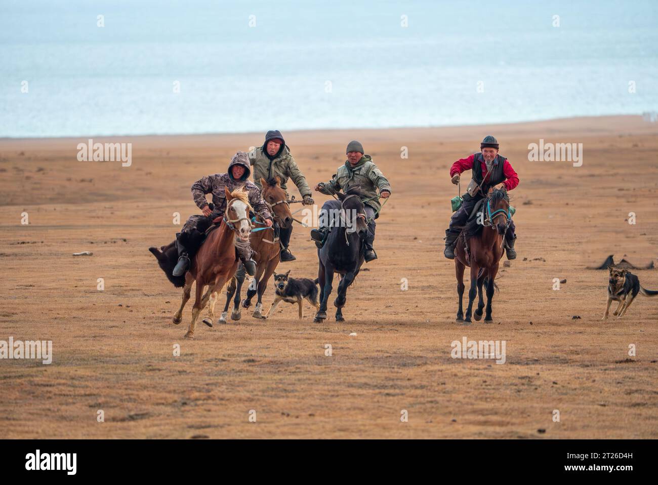 Kok-boru Kirgisistan-Buzkashi Ziegenziehen ist die traditionelle nationale Sportart, in der die Spieler auf den Pferden versuchen, eine Ziege oder ein Kalb zu platzieren Stockfoto