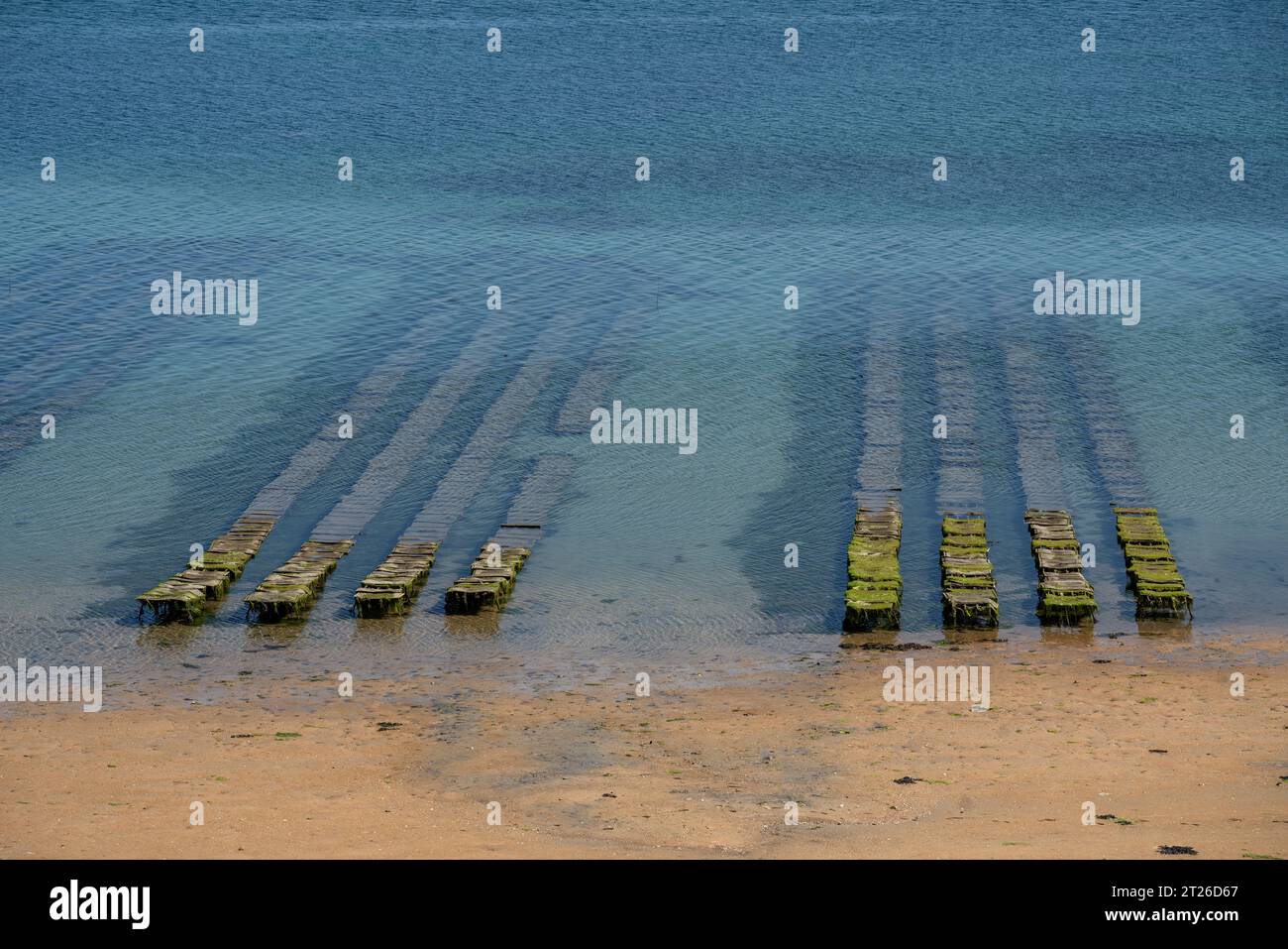 Oyster Farm In Der Bucht Von Morlaix, Bretagne Stockfoto