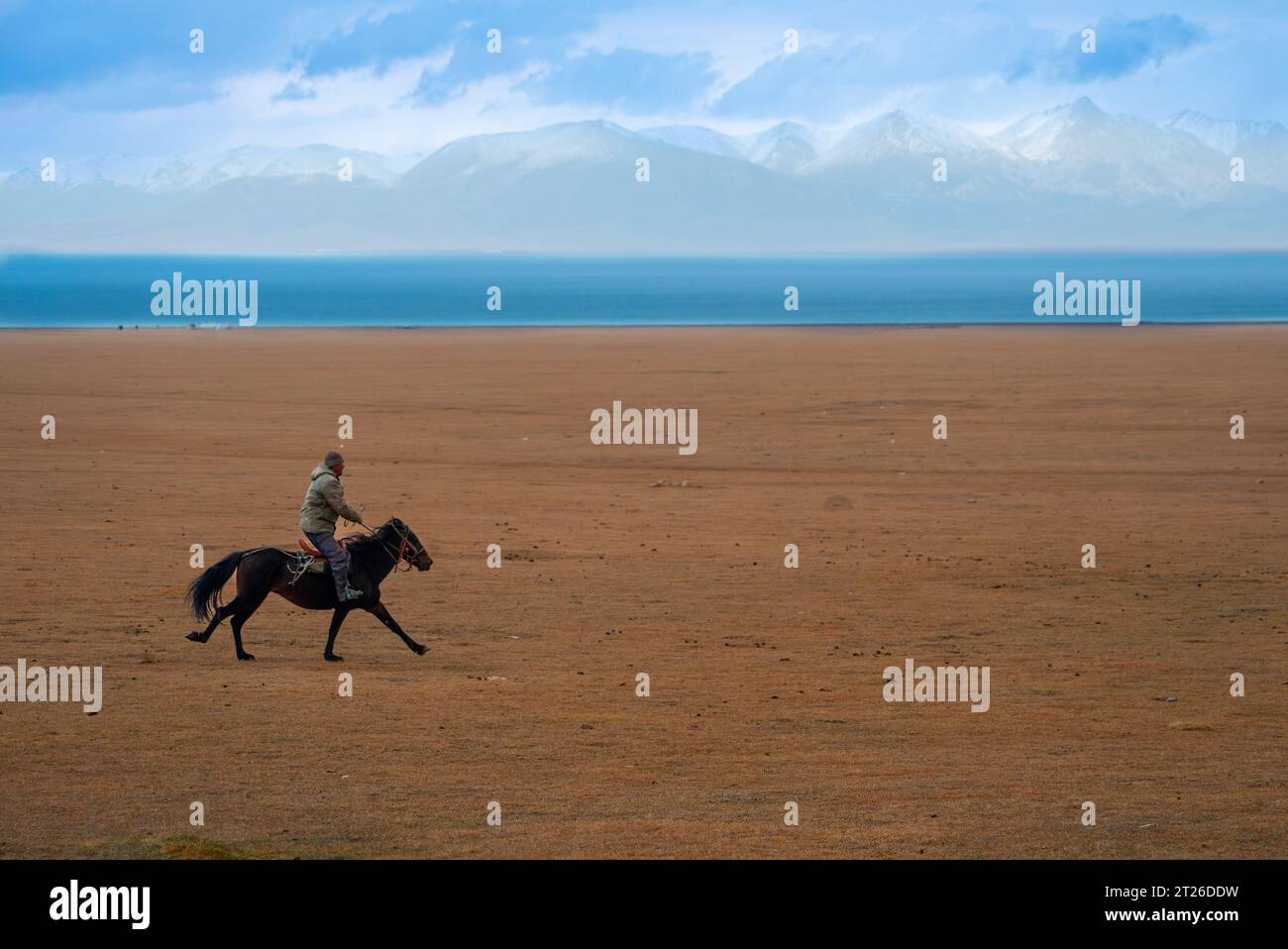 Kok-boru Kirgisistan-Buzkashi Ziegenziehen ist die traditionelle nationale Sportart, in der die Spieler auf den Pferden versuchen, eine Ziege oder ein Kalb zu platzieren Stockfoto