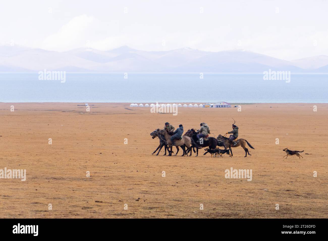 Kok-boru Kirgisistan-Buzkashi Ziegenziehen ist die traditionelle nationale Sportart, in der die Spieler auf den Pferden versuchen, eine Ziege oder ein Kalb zu platzieren Stockfoto