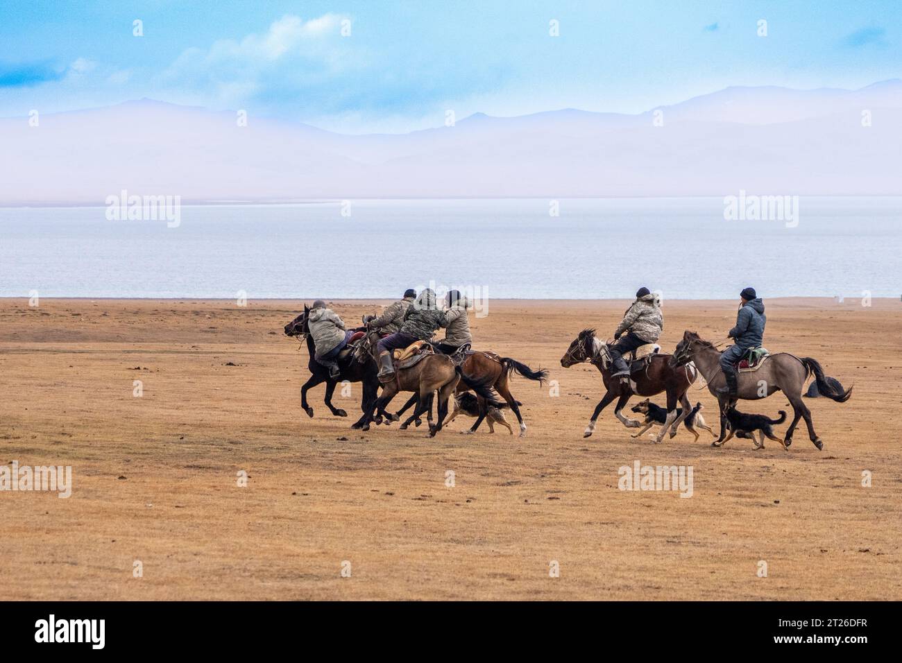 Kok-boru Kirgisistan-Buzkashi Ziegenziehen ist die traditionelle nationale Sportart, in der die Spieler auf den Pferden versuchen, eine Ziege oder ein Kalb zu platzieren Stockfoto
