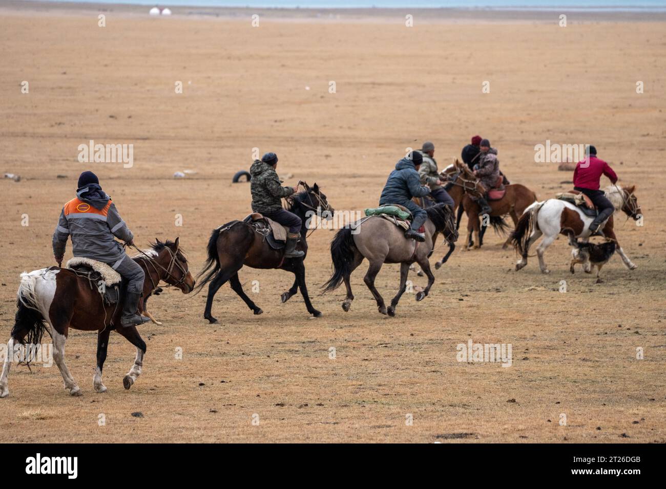 Kok-boru Kirgisistan-Buzkashi Ziegenziehen ist die traditionelle nationale Sportart, in der die Spieler auf den Pferden versuchen, eine Ziege oder ein Kalb zu platzieren Stockfoto