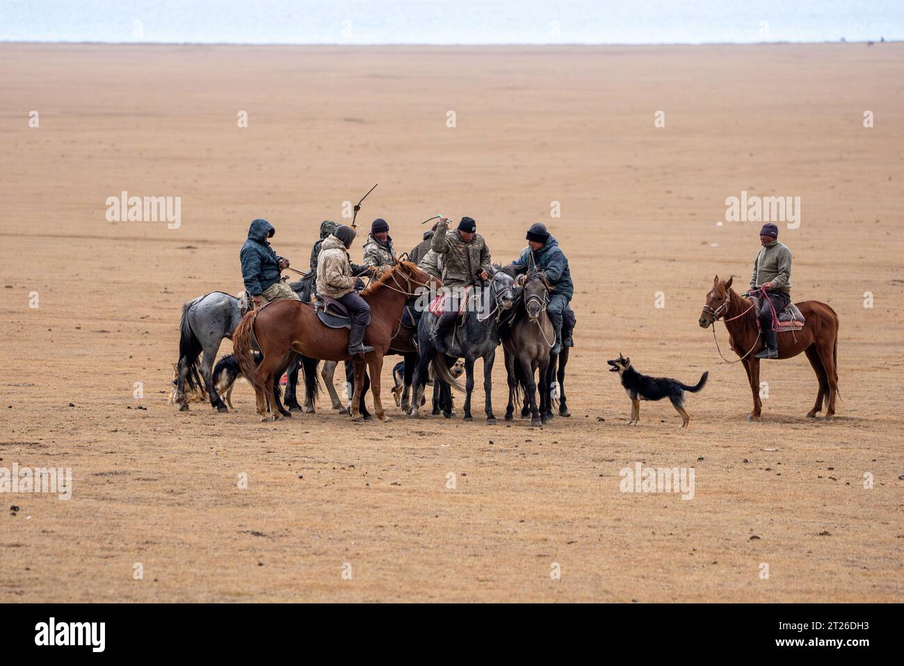 Kok-boru Kirgisistan-Buzkashi Ziegenziehen ist die traditionelle nationale Sportart, in der die Spieler auf den Pferden versuchen, eine Ziege oder ein Kalb zu platzieren Stockfoto