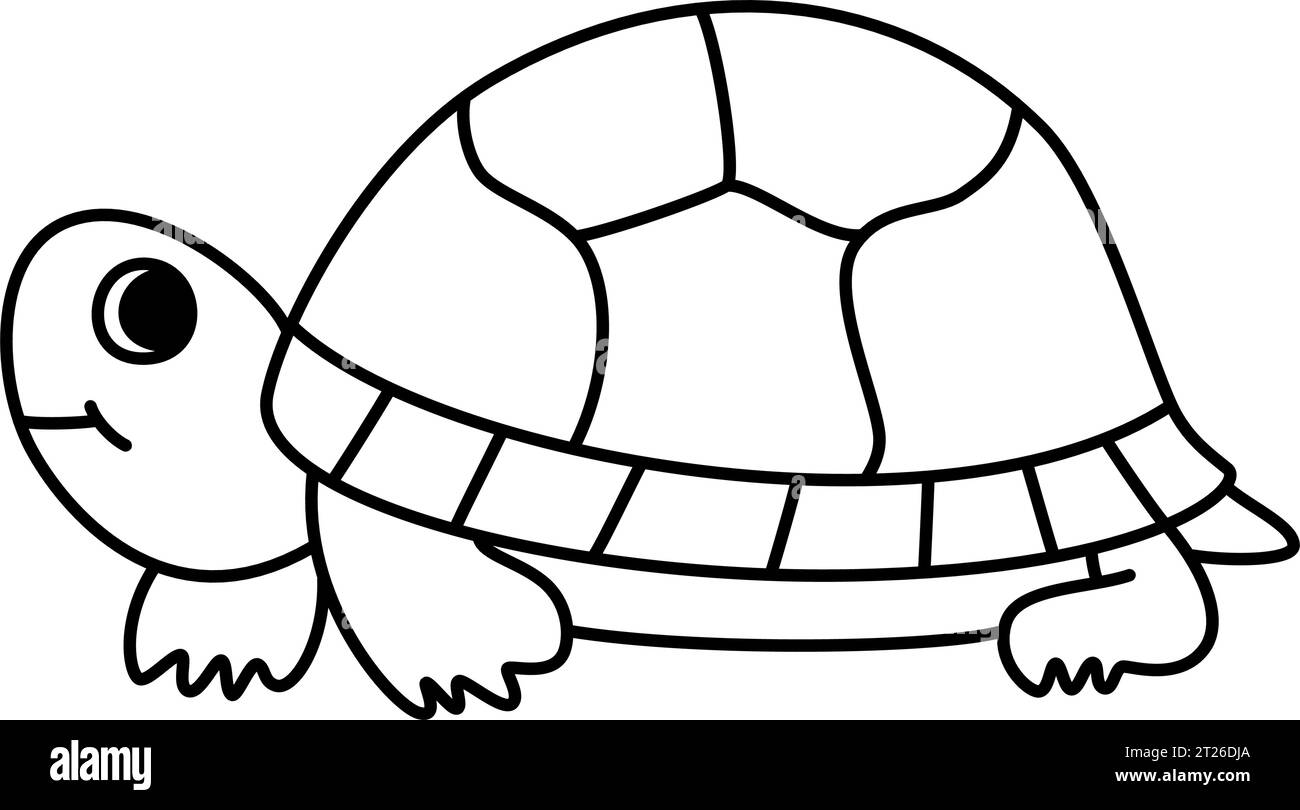 Schildkröte - niedliche Schildkröte-Doodle-Kunst für den Unterricht in Vorschule und Kindergarten, die eine Art des Reptils und ein Symbol der Gelassenheit identifiziert Stock Vektor