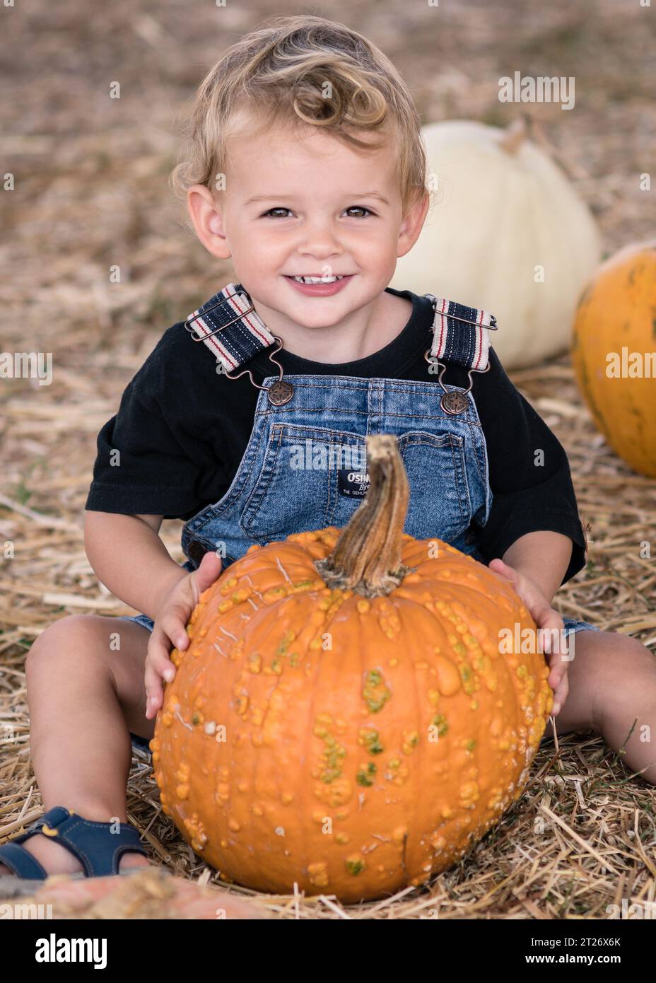 Porträt eines 2-jährigen Jungen, der lächelt und einen orangefarbenen Kürbis in der Hand hält, auf der Deluca Farm in San Pedro, CA. Stockfoto