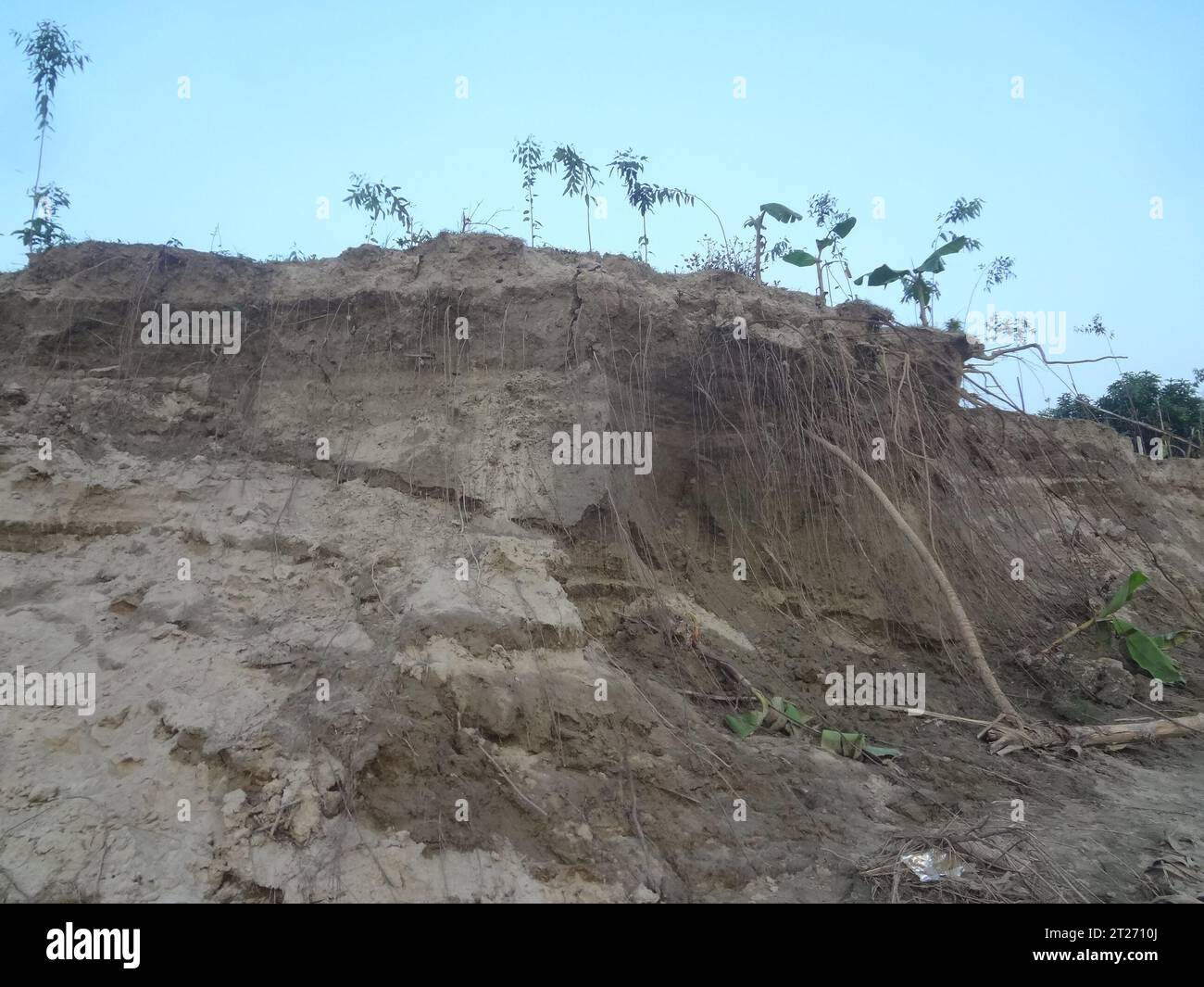 Naogaon, Bangladesch. Oktober 2023. Flusserosion und Landschlupf in der Nähe des Dorfes Shimultoli am Ufer des Flusses Atrai im Bezirk Dhamoirhat Upazila Naogaon. Ungewöhnliche Regenmuster und Überschwemmungen verursachen Landschlupf in diesem Gebiet in der letzten Monsunsaison. (Kreditbild: © MD Mehedi Hasan/ZUMA Press Wire) NUR REDAKTIONELLE VERWENDUNG! Nicht für kommerzielle ZWECKE! Stockfoto