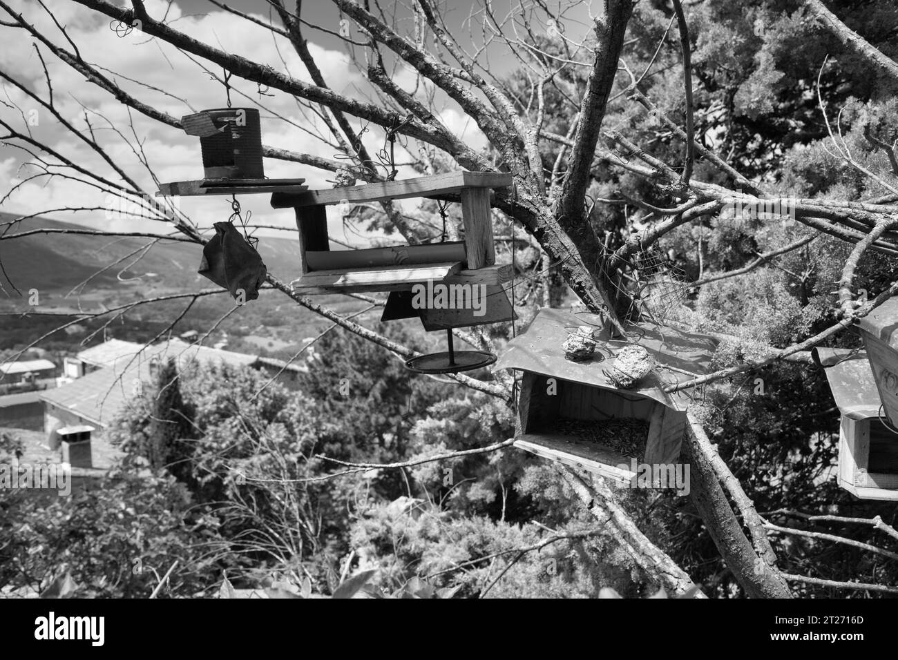 Vogelschwärme von bonnieux (schwarz-weiß) Stockfoto