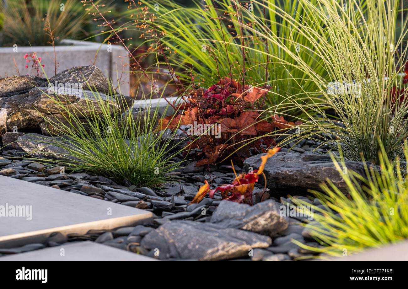 Modernes elegantes Rockery Garden Design mit farbenfrohen Pflanzen und The Pathway Stockfoto