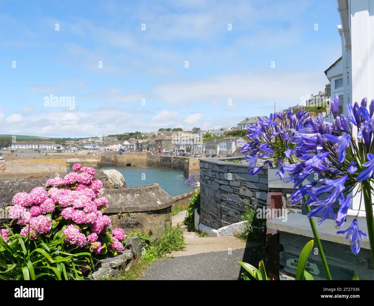 Erhöhter Blick auf den Hafen von Porthleven in Cornwall England mit rosa blühenden Hortensie und blau blühender Juwelenlilie im Vordergrund Stockfoto