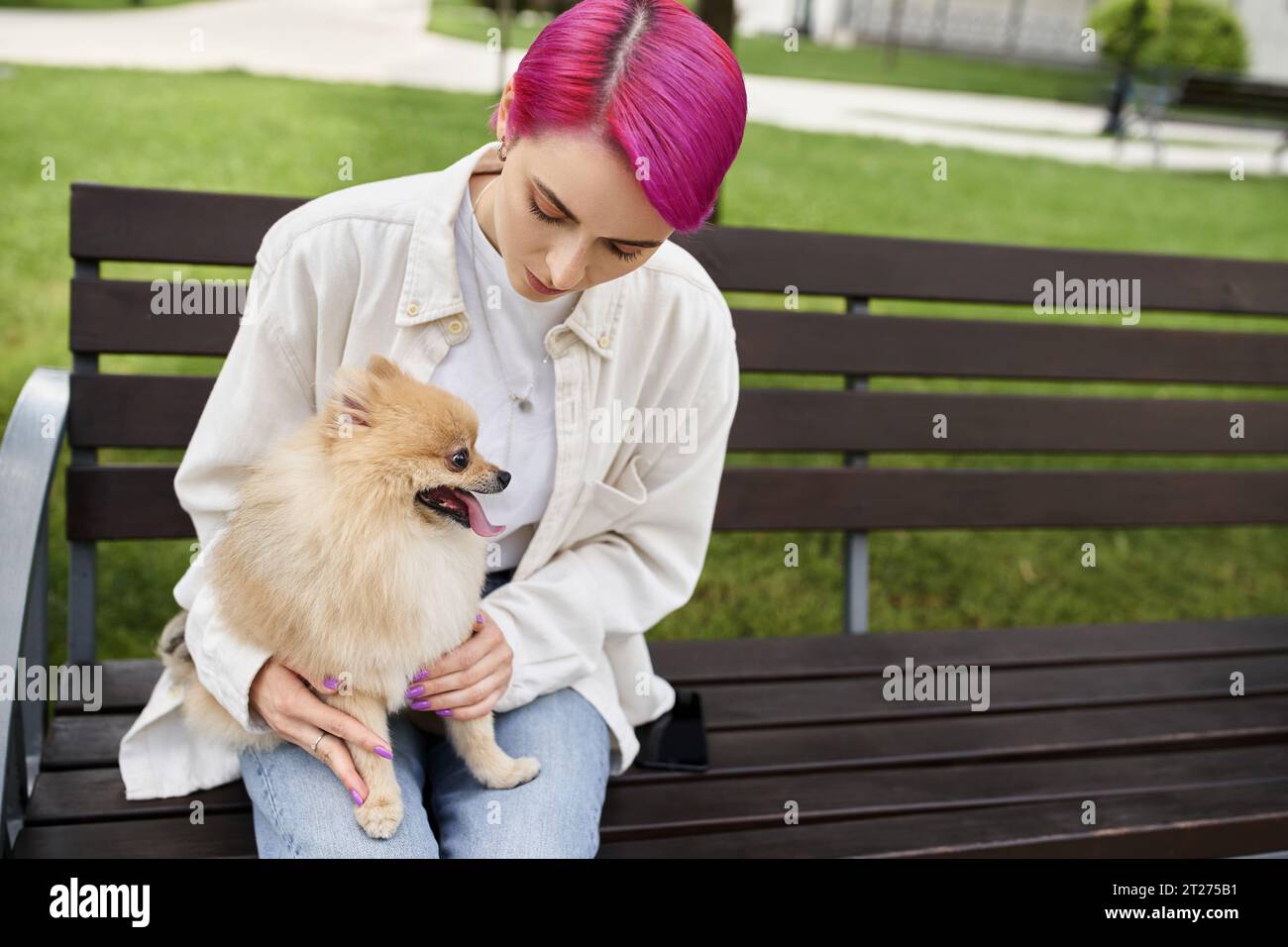 Frau mit trendigem Haar sitzt auf Bank im Park mit entzückendem pommerschen Spitz, Hundeliebhaber Stockfoto