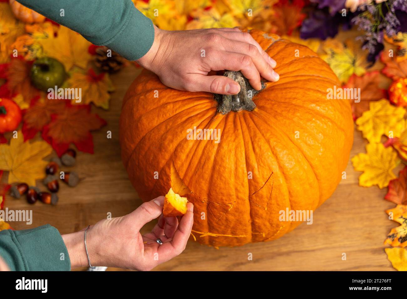 Augsburg, Bayern, Deutschland. Oktober 2023. Einen Halloween-Kürbis aushöhlen und schnitzen. Ein Mann schneidet ein böses Gesicht in einen traditionellen Halloween-Kürbis mit einem Messer. DIY Dekoration *** Aushöhlen und Schnitzen von einem Halloween Kürbis. Mann schneidet mit einem Messer ein fieses gesicht in einem traditionellen Halloween-Kürbis. DIY Dekoration Credit: Imago/Alamy Live News Stockfoto