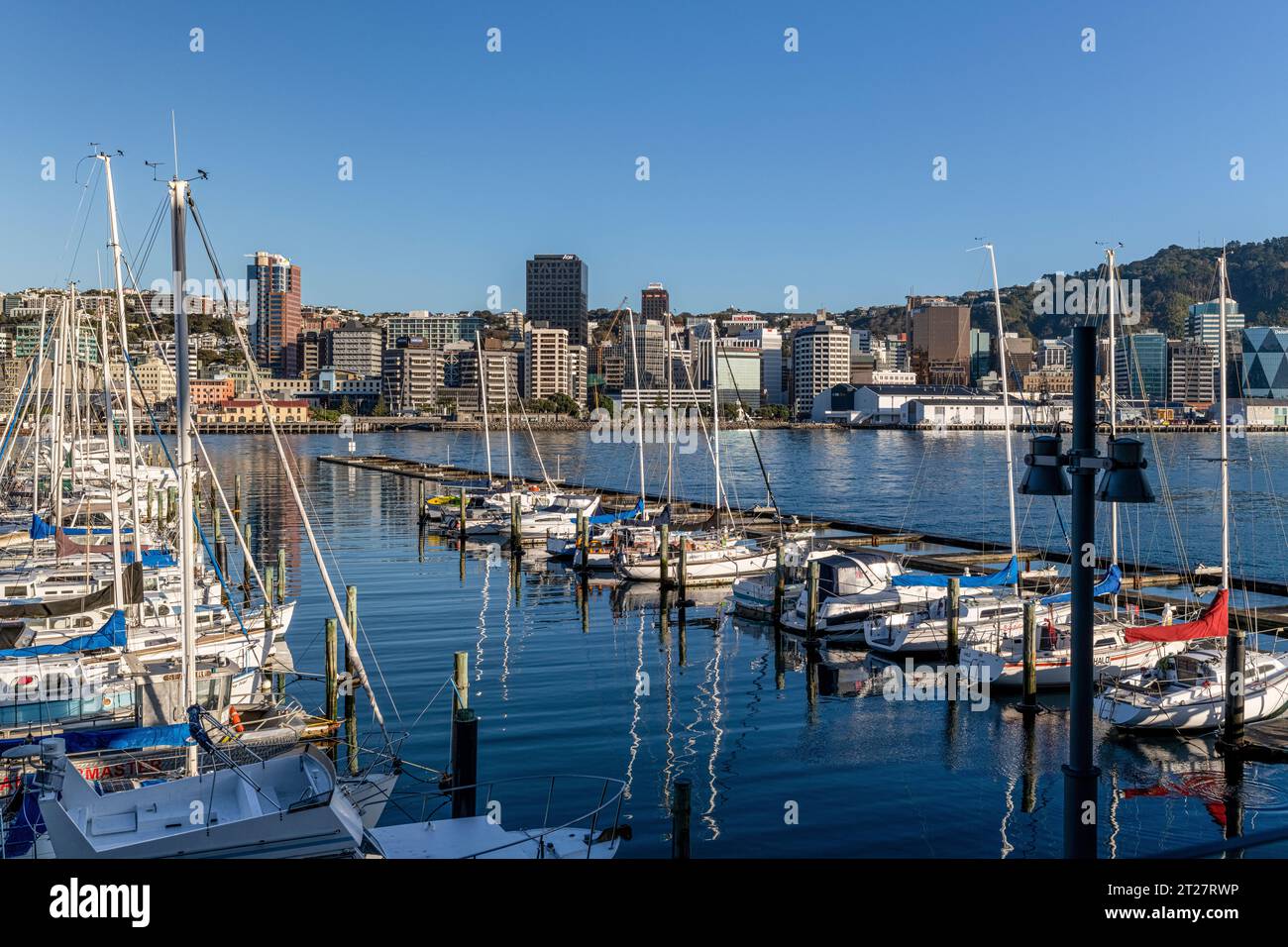 Wellington, Neuseeland Yachthafen und Skyline am Wasser Stockfoto