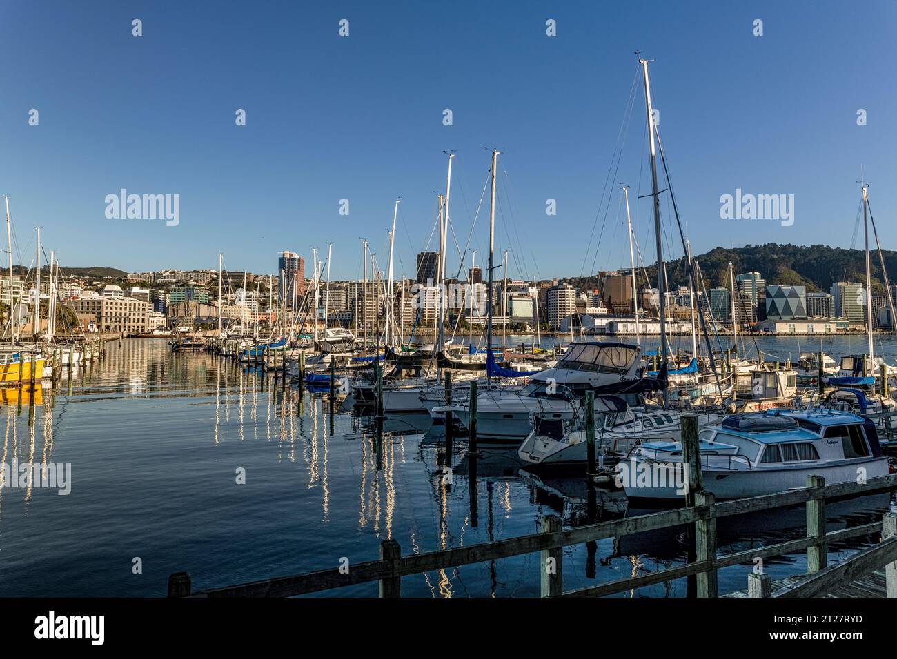 Wellington, Neuseeland Yachthafen und Skyline am Wasser Stockfoto